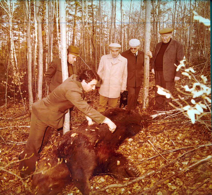 Vanatori 1981