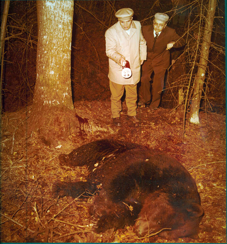 Vanatori 1981