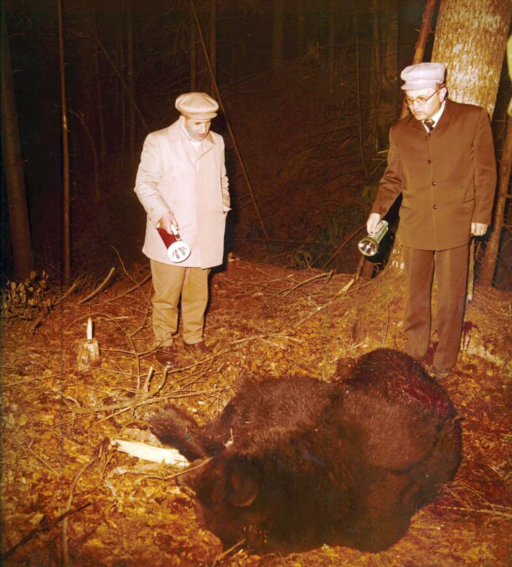 Vanatori 1981
