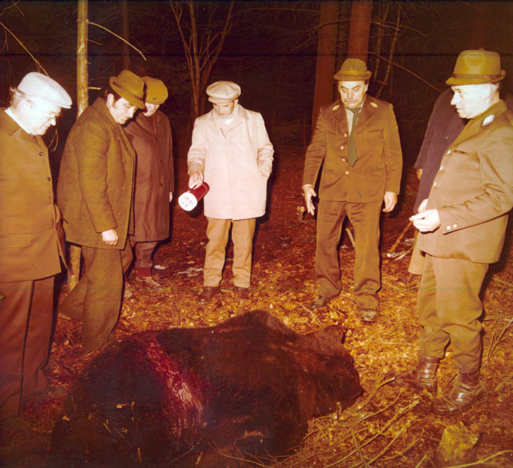 Vanatori 1981