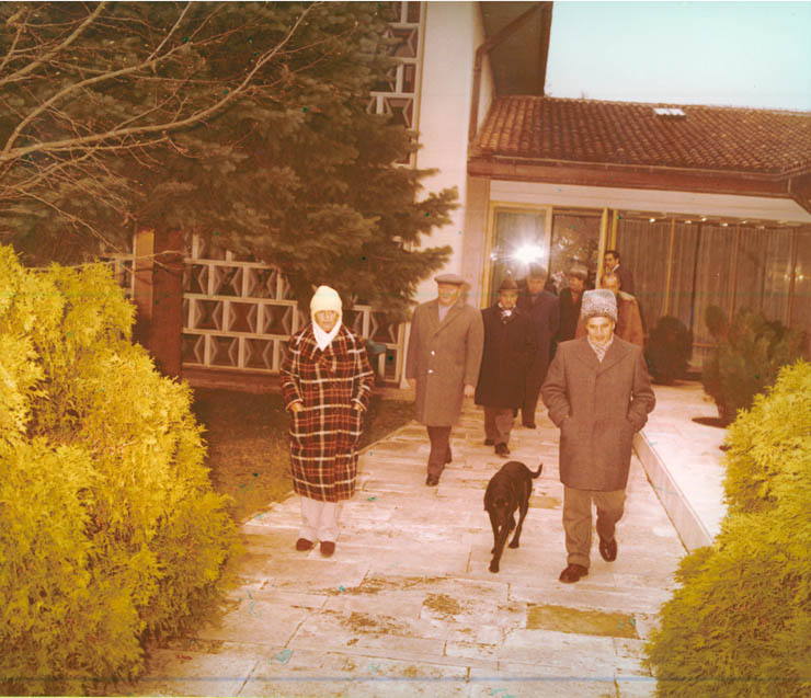 Vanatori 1981