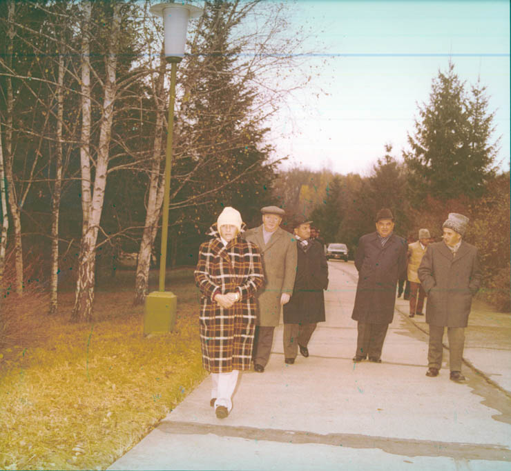Vanatori 1981