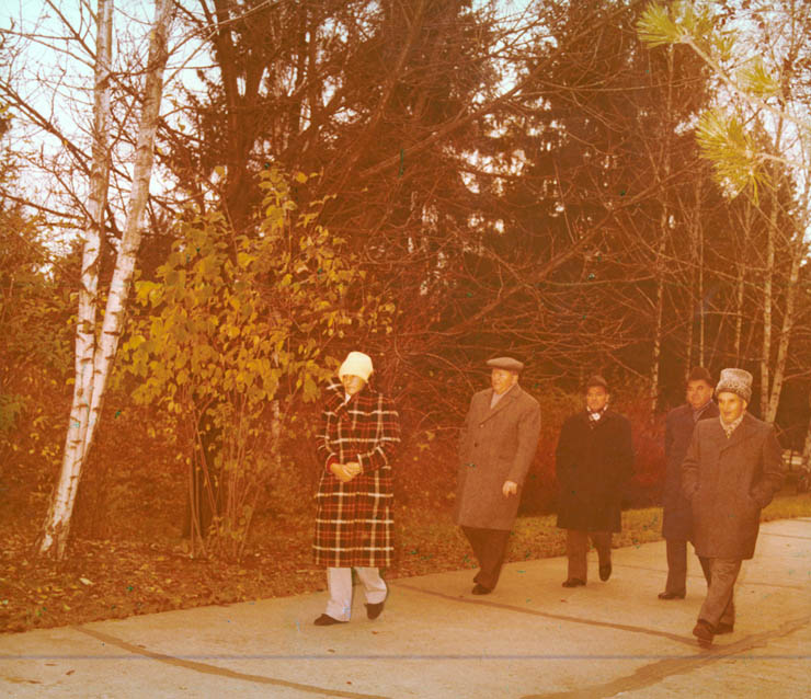 Vanatori 1981