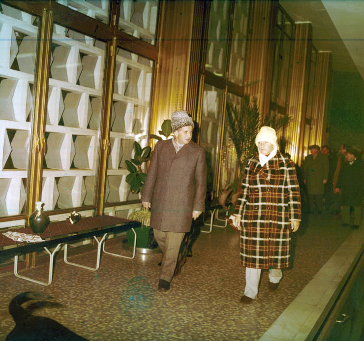 Vanatori 1981