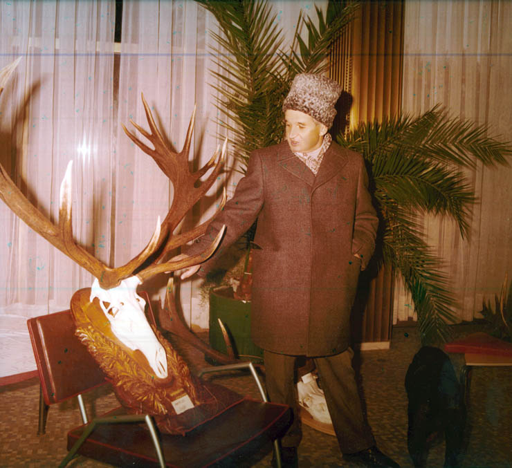 Vanatori 1981
