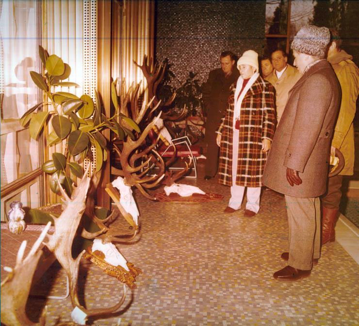 Vanatori 1981