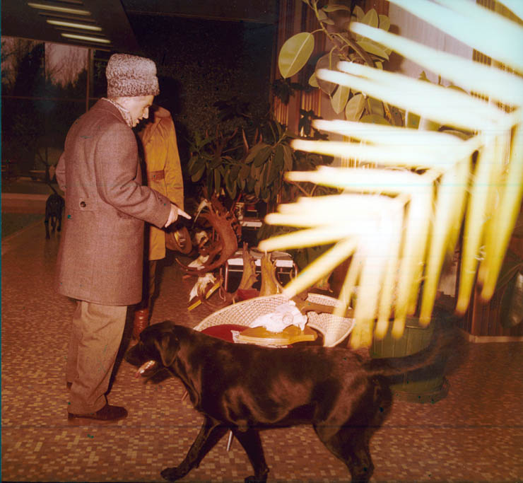 Vanatori 1981