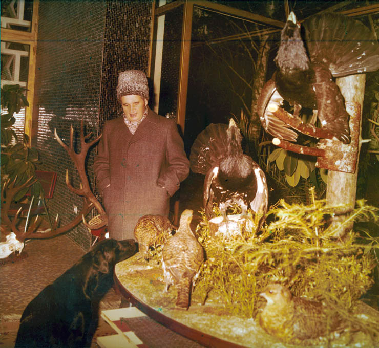 Vanatori 1981