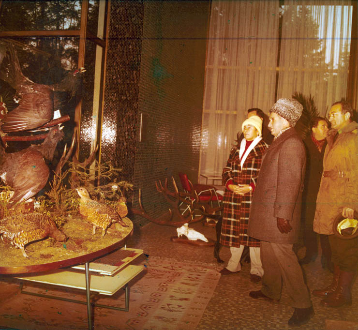 Vanatori 1981