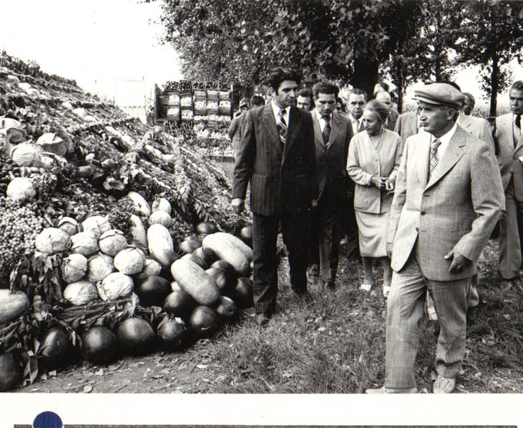 Aspect din timpul vizitei de lucru la C.A.P. Băileşti, judeţul Dolj, pe care au efectuat-o preşedintele Nicolae Ceauşescu şi Elena Ceauşescu la 10 august 1979.(10.VIII.1979).