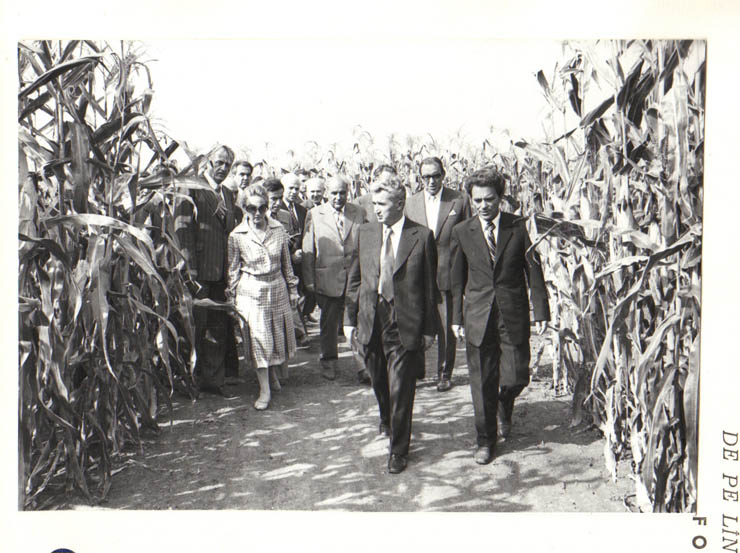 Vizita de lucru a preşedintelui Nicolae Ceauşescu şi a Elenei Ceauşescu  în judeţul Timiş. Printre creatorii noilor hibrizi de porumb de la staţiunea experimentală agricolă Lovrin.  (14-15.IX.1979).