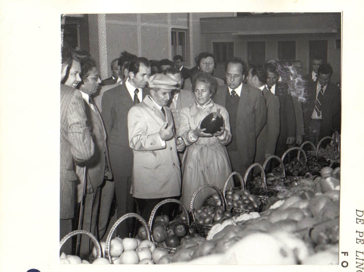 Conducători de partid şi de stat în vizită de lucru la C.A.P. Salonta, judeţul Bihor. (16-17.IX.1979).