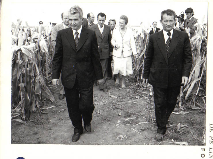 Cu prilejul vizitei întreprinse în localitatea Scorniceşti, preşedintele Nicolae Ceauşescu analizează rezultatele la cultura porumbului. (22.IX.1979).