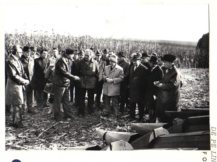 Aspect din timpul vizitei de lucru a lui Nicolae Ceauşescu la I.A.S. Afumaţi, judeţul Ilfov. 11.XI.1979).
