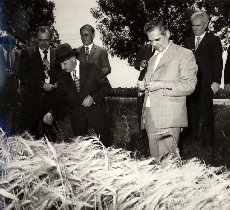Vizita de lucru a lui Nicolae Ceauşescu în judeţul Teleorman: C.A.P. Purani. (16 iunie 1976)