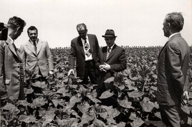 Vizita de lucru a lui Nicolae Ceauşescu în judeţul Teleorman: C.A.P. Purani. (16 iunie 1976)