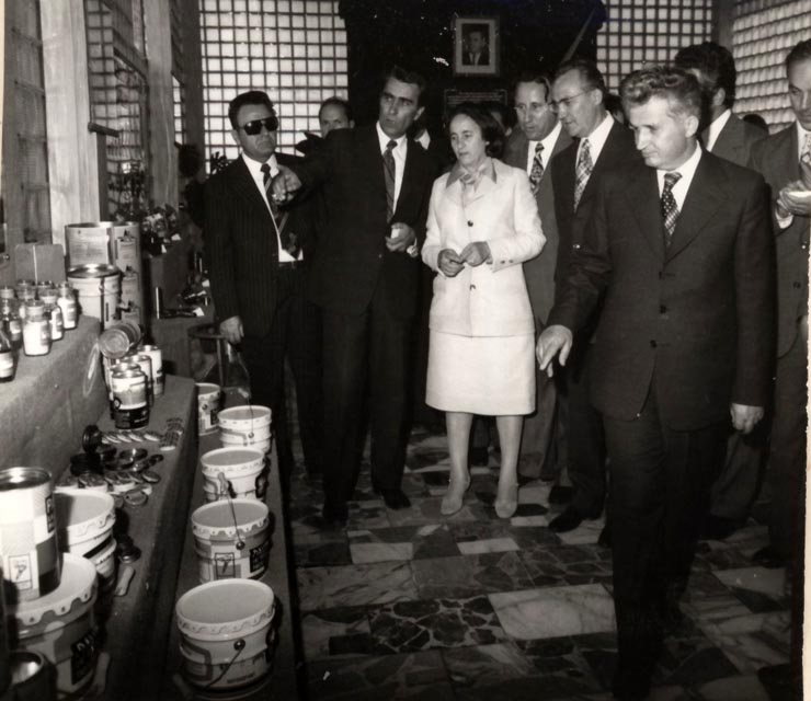 Vizita de lucru a lui Nicolae Ceauşescu, a Elenei Ceauşescu, a altor conducători de partid şi de stat, în judeţul Bihor. Întreprinderea „Sinteza”. (18 iunie 1976)
