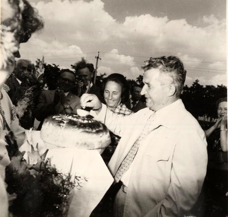 La invitaţia C.C. al P.C.U.S., Nicolae Ceauşescu împreună cu Elena Ceauşescu, au petrecut, în Uniunea Sovietică, o parte a concediului de odihnă. Primirea în Crimeea. (2-12 august 1976)