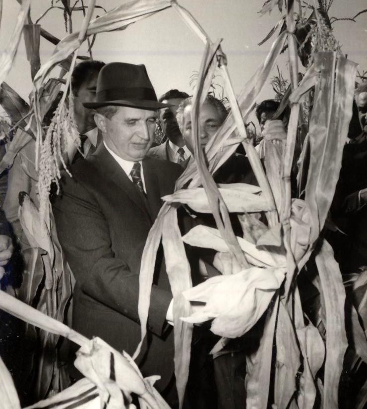 Vizita de lucru a lui Nicolae Ceauşescu în unităţi agricole de producţie şi de cercetare din Băneasa – Giurgiu. Pe terenurile Institutului de cercetări pentru irigaţii şi drenaje. (30 septembrie 1976)