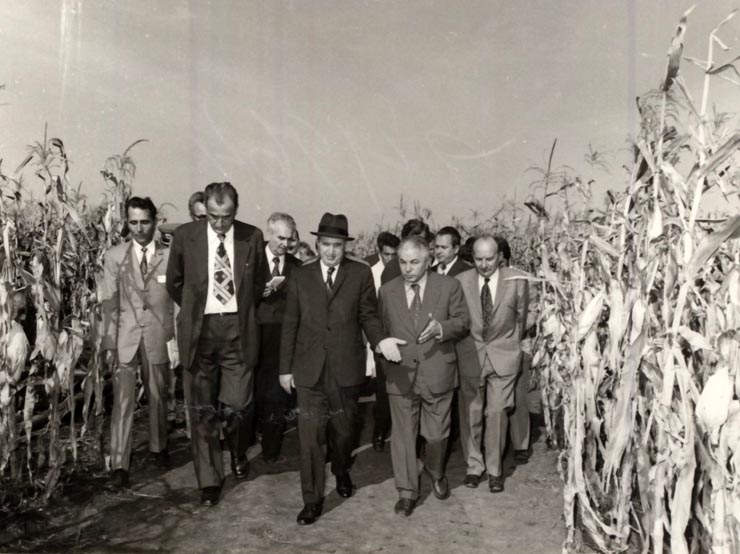 Vizita de lucru a lui Nicolae Ceauşescu în unităţi agricole de producţie şi de cercetare din Băneasa – Giurgiu. La I.A.S. Prundu. (30 septembrie 1976)