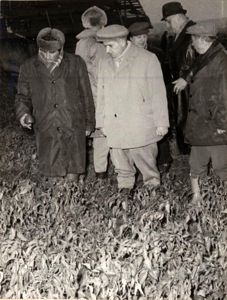 Vizita de lucru a lui Nicolae Ceauşescu în judeţul Argeş, unde a examinat măsurile luate pentru strângerea grabnică a recoltei; la Leordeni. (19 octombrie 1976)