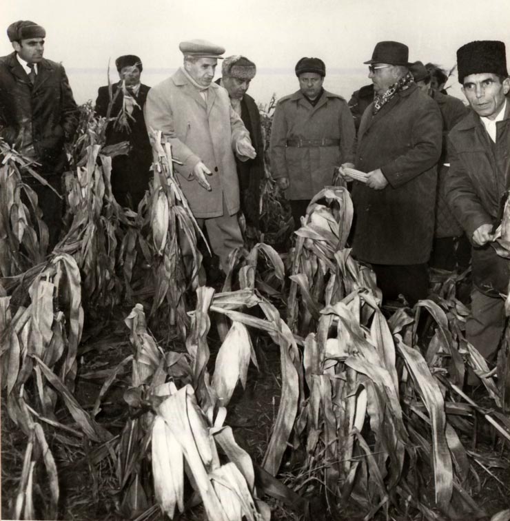 Vizita de lucru a lui Nicolae Ceauşescu în judeţul Olt, unde a examinat măsurile luate pentru strângerea grabnică a recoltei; la Văleni. (19 octombrie 1976)