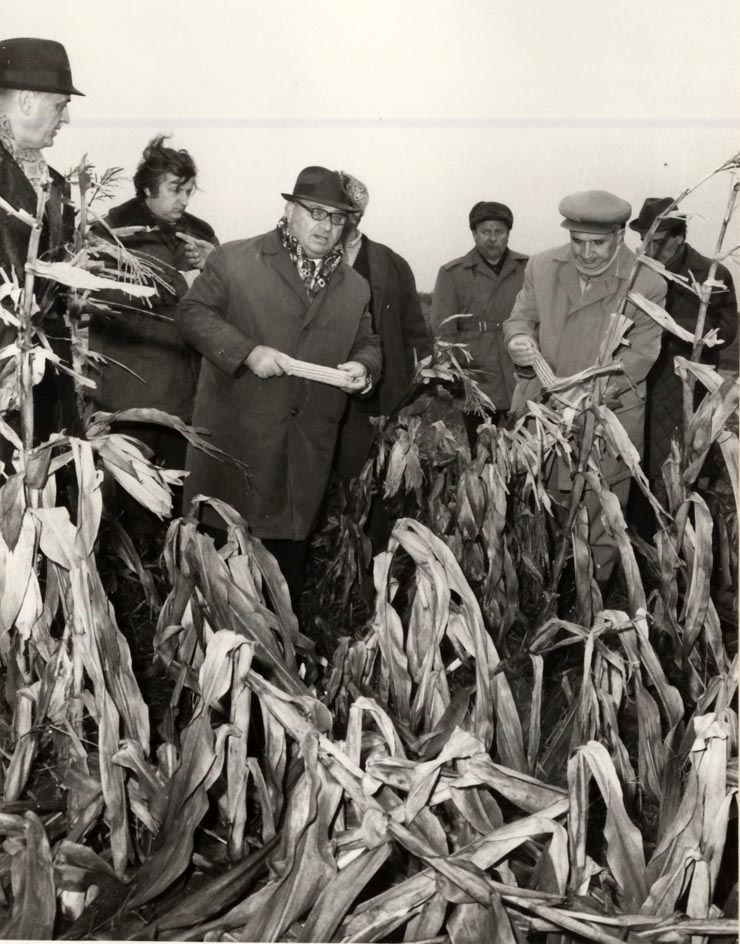 Vizita de lucru a lui Nicolae Ceauşescu în judeţul Olt, unde a examinat măsurile luate pentru strângerea grabnică a recoltei; la Văleni. (19 octombrie 1976)
