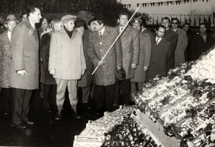 Vizita de lucru a lui Nicolae Ceauşescu în judeţul Satu Mare. În timpul vizitării expoziţiei agricole din piaţa centrală a municipiului Satu Mare (22 octombrie 1976)