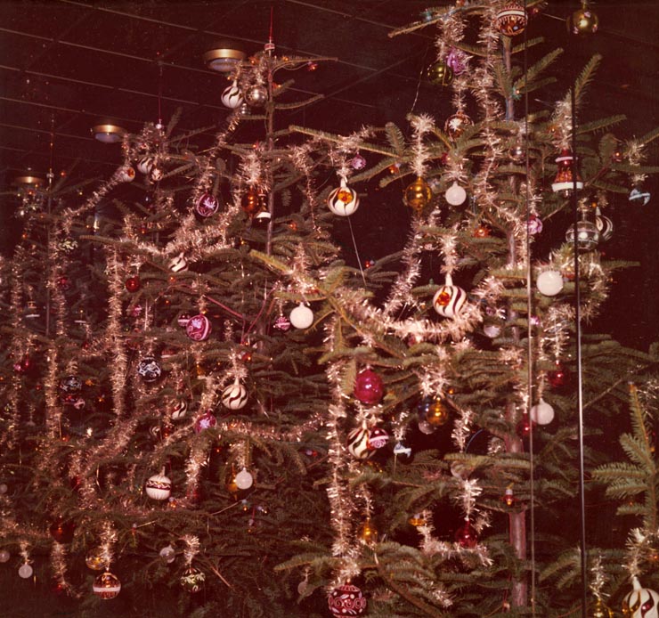Revelion Aniversari Vanatori 1976
