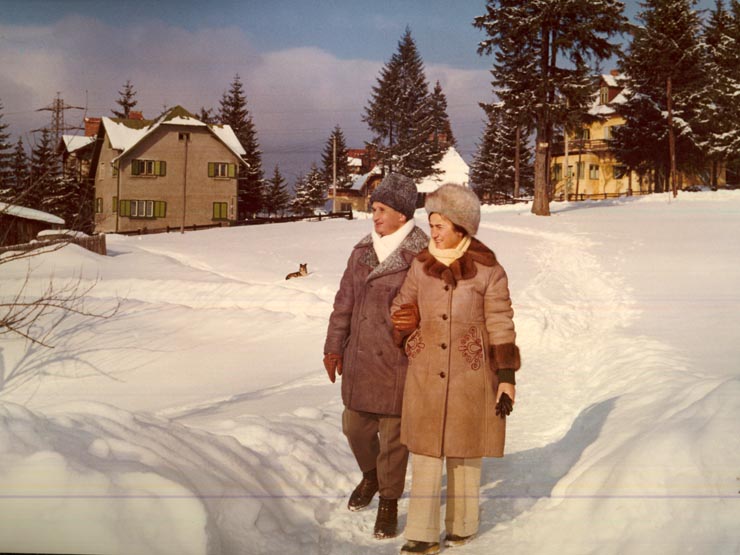 Revelion Aniversari Vanatori 1976