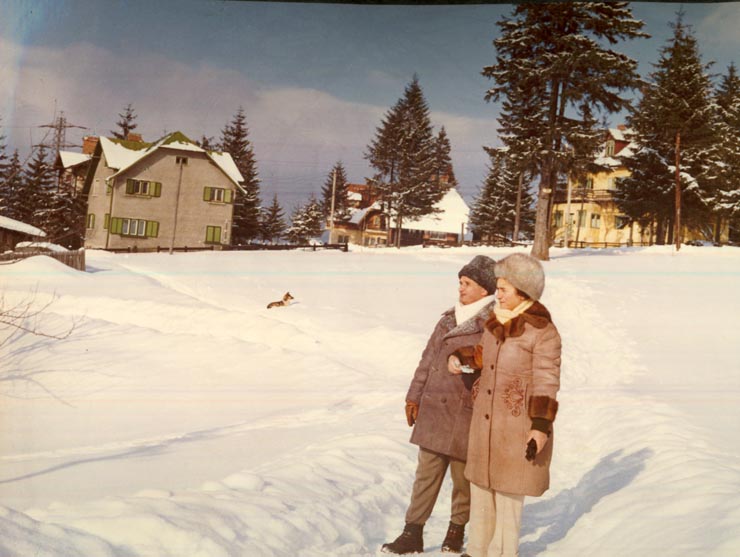 Revelion Aniversari Vanatori 1976