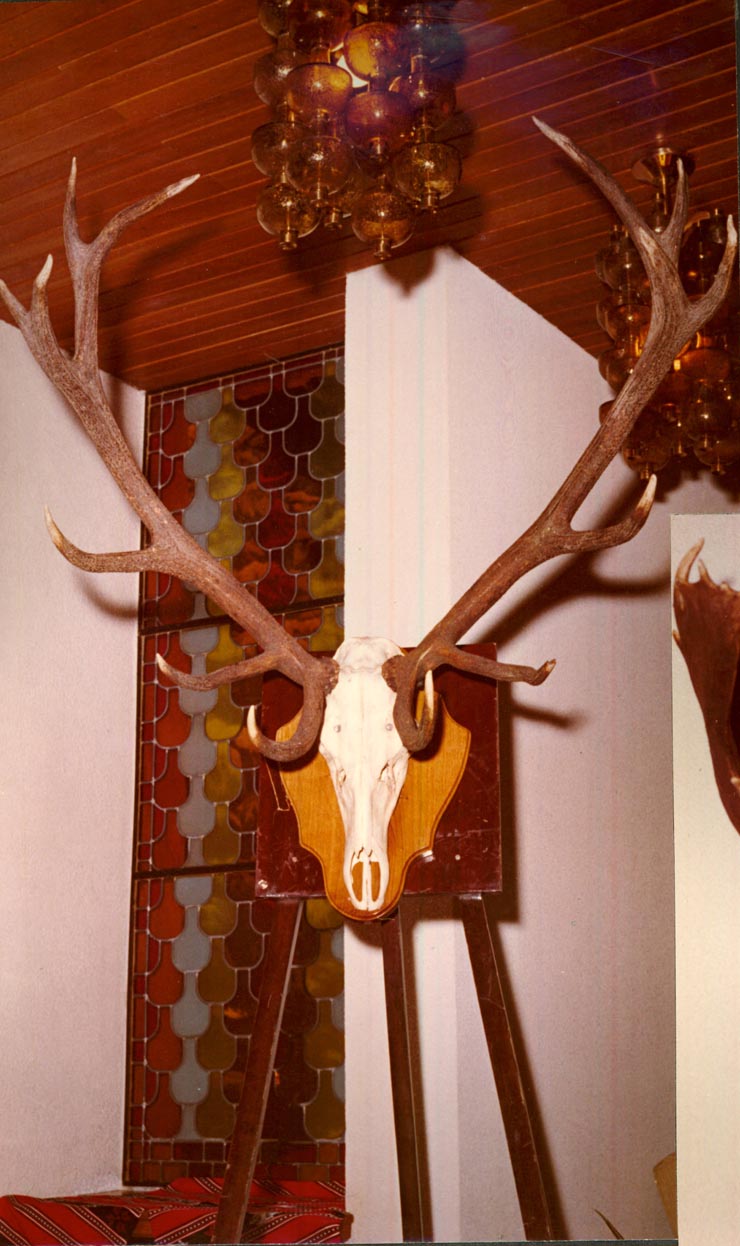 Revelion Aniversari Vanatori 1976