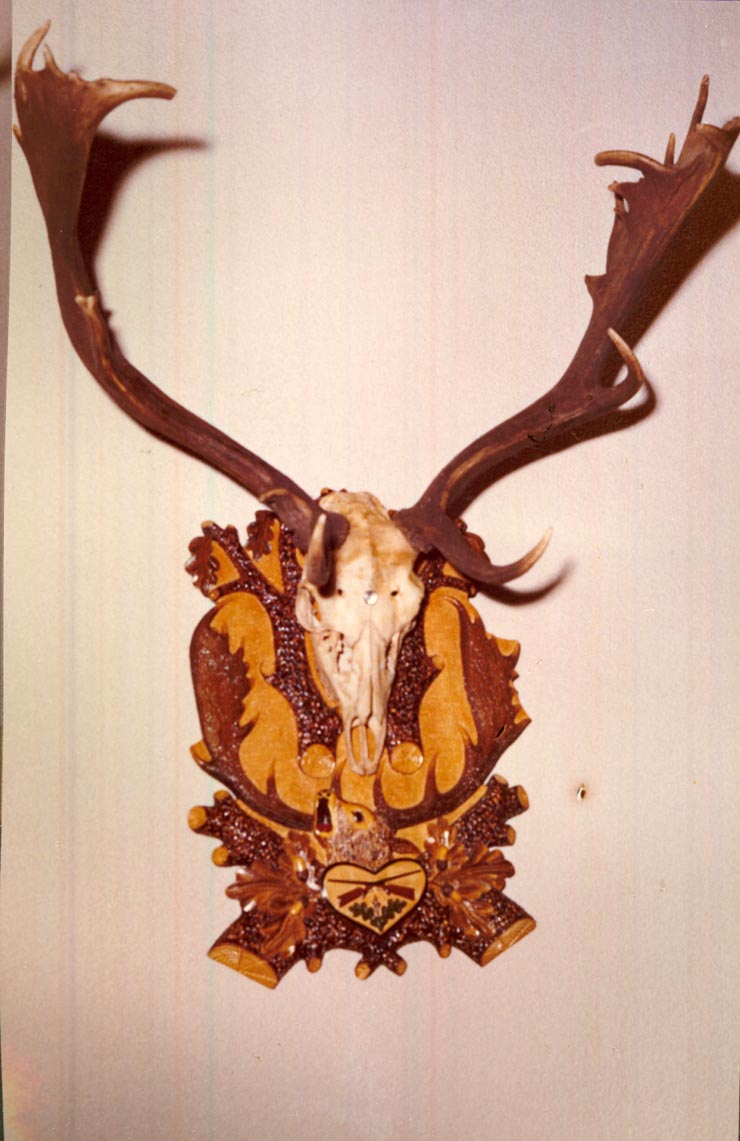 Revelion Aniversari Vanatori 1976