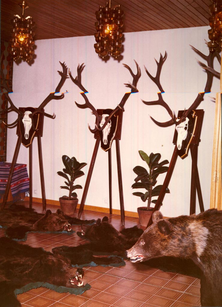 Revelion Aniversari Vanatori 1976