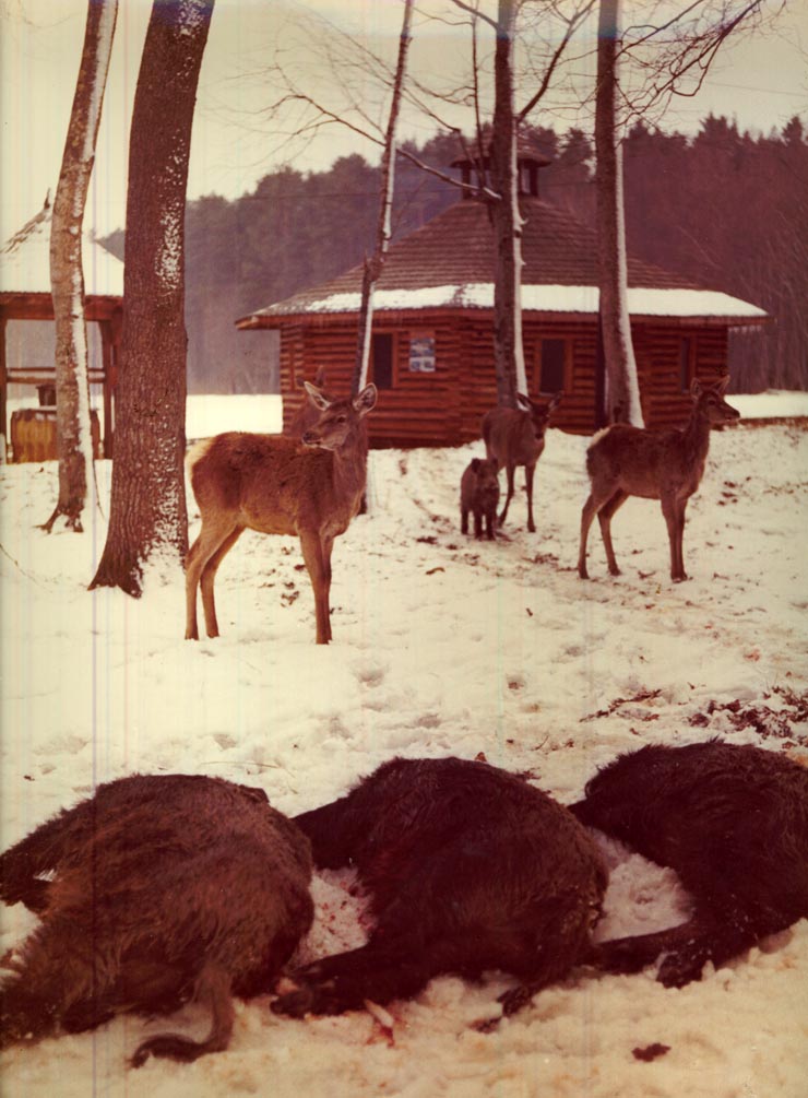 Revelion Aniversari Vanatori 1976