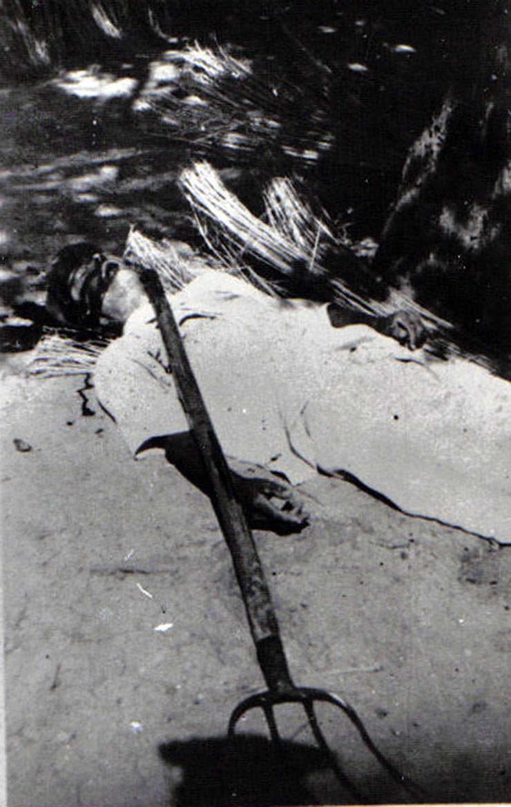 Rascoale taranesti