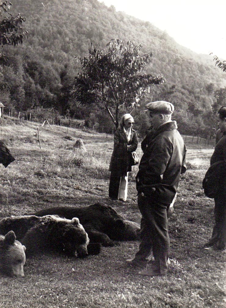 Vanatoare Bistrita Septembrie 1972