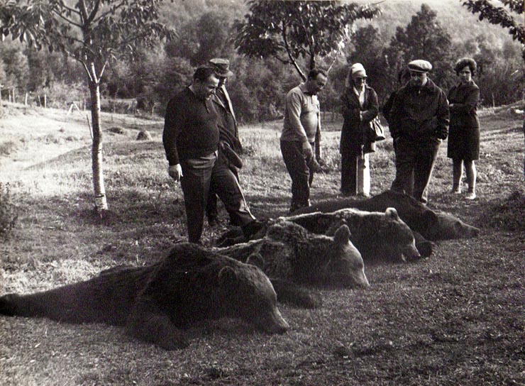 Vanatoare Bistrita Septembrie 1972