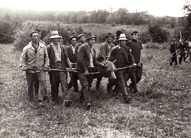 Vanatoare Bistrita Septembrie 1972